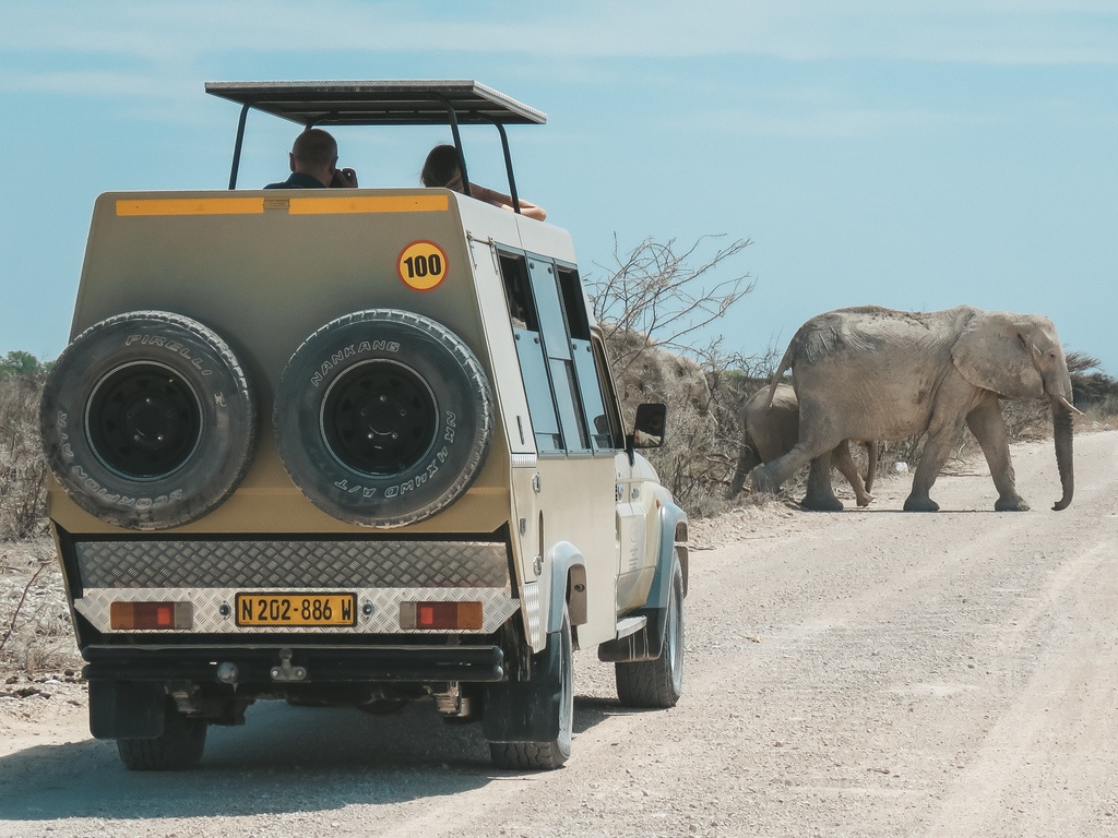 Safari Vehicle and elephant crossing road in Etosha National Park