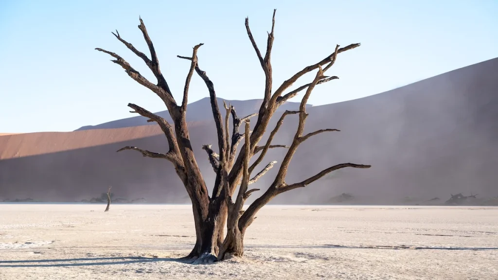 Deadvlei