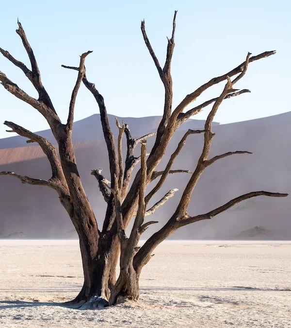 Deadvlei
