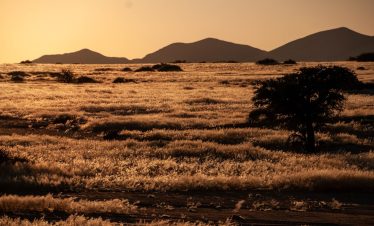 Wüstenquell hiking safari 3