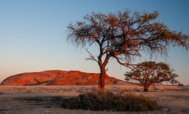 Wüstenquell hiking safari 6
