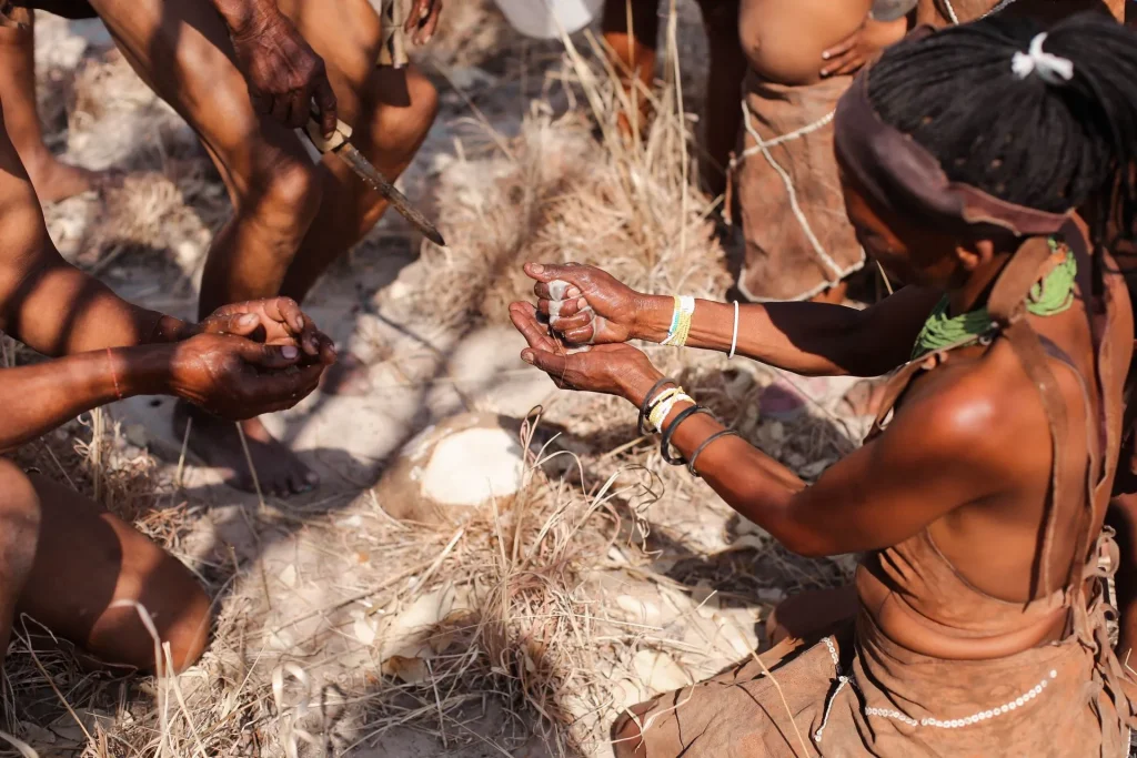 Feline+fields+lodge+bushmen+experience 1920w