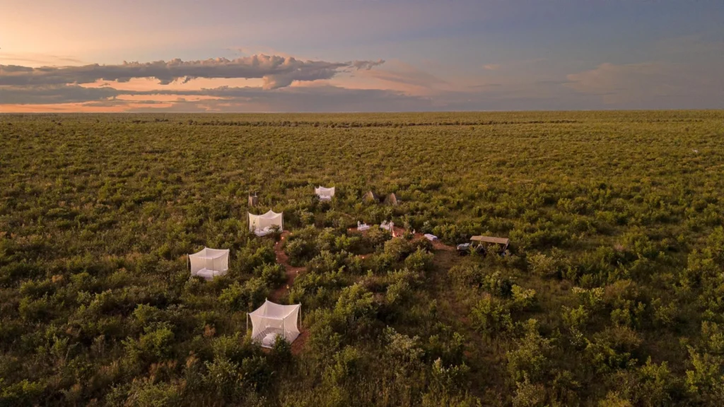 Feline+fields+lodge+sleepout+aerial 1920w