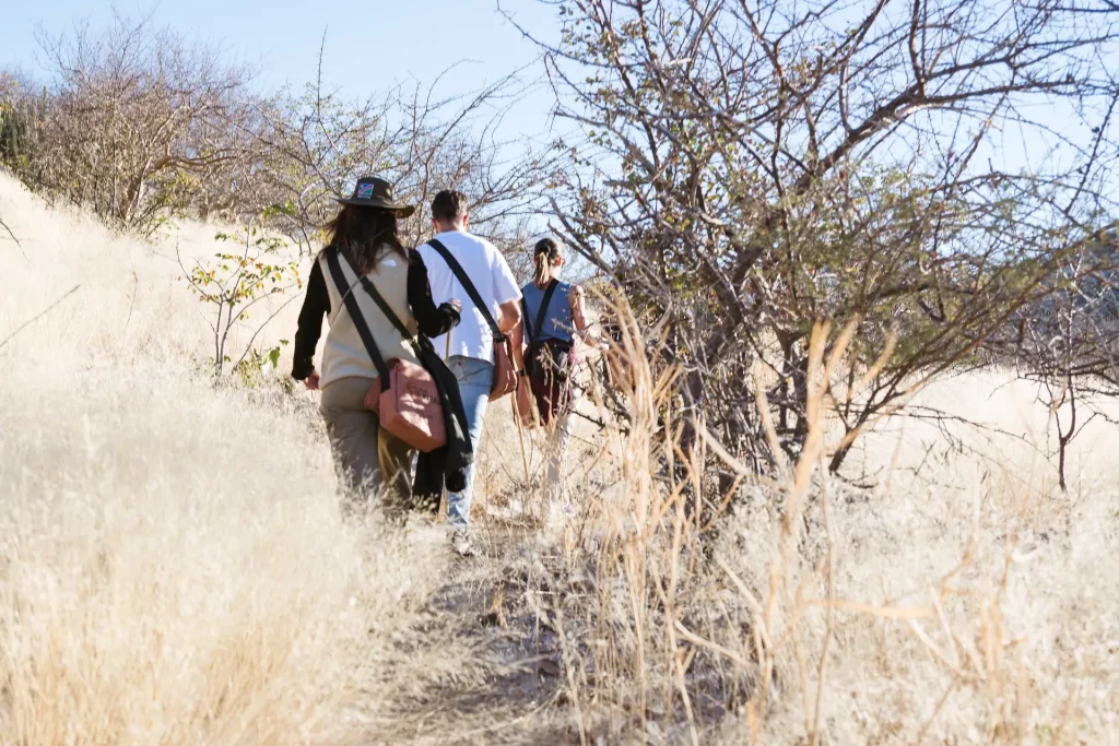 Active safaris