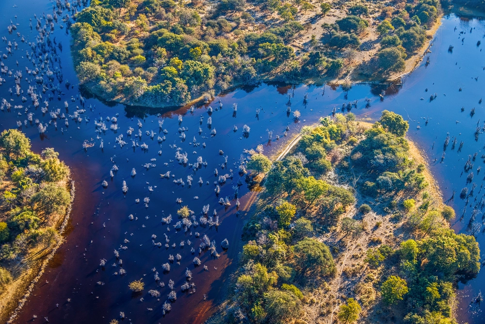 Okavango Delta Botswana Okavango delta botswana