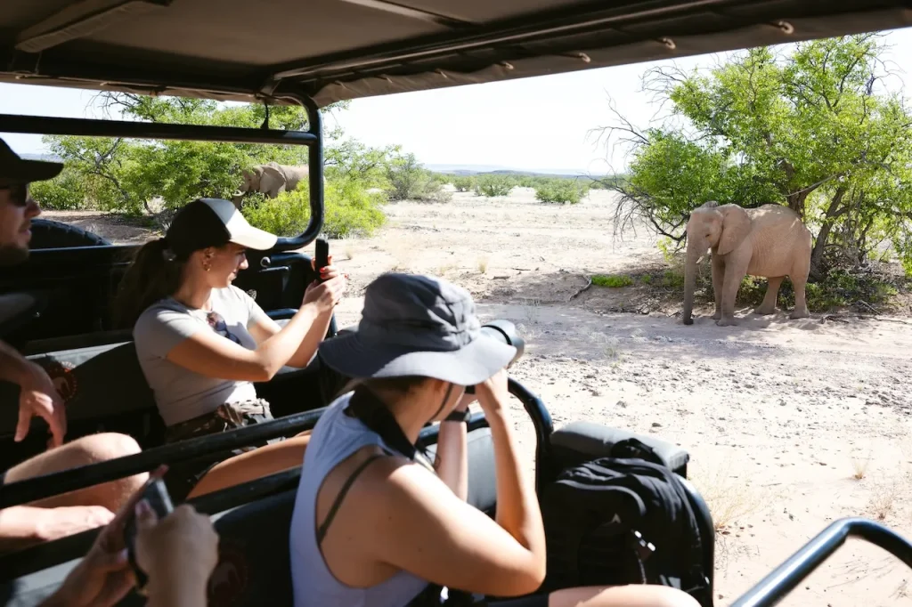 Desert Elephant Drive
