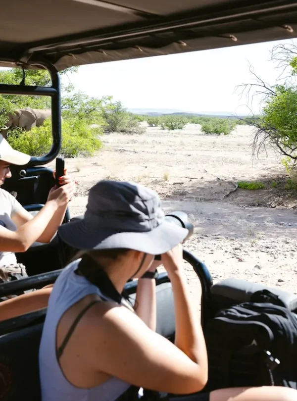 Desert Elephant Drive